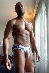 Harlem Jock