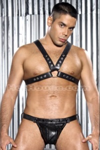Anthony Martinez